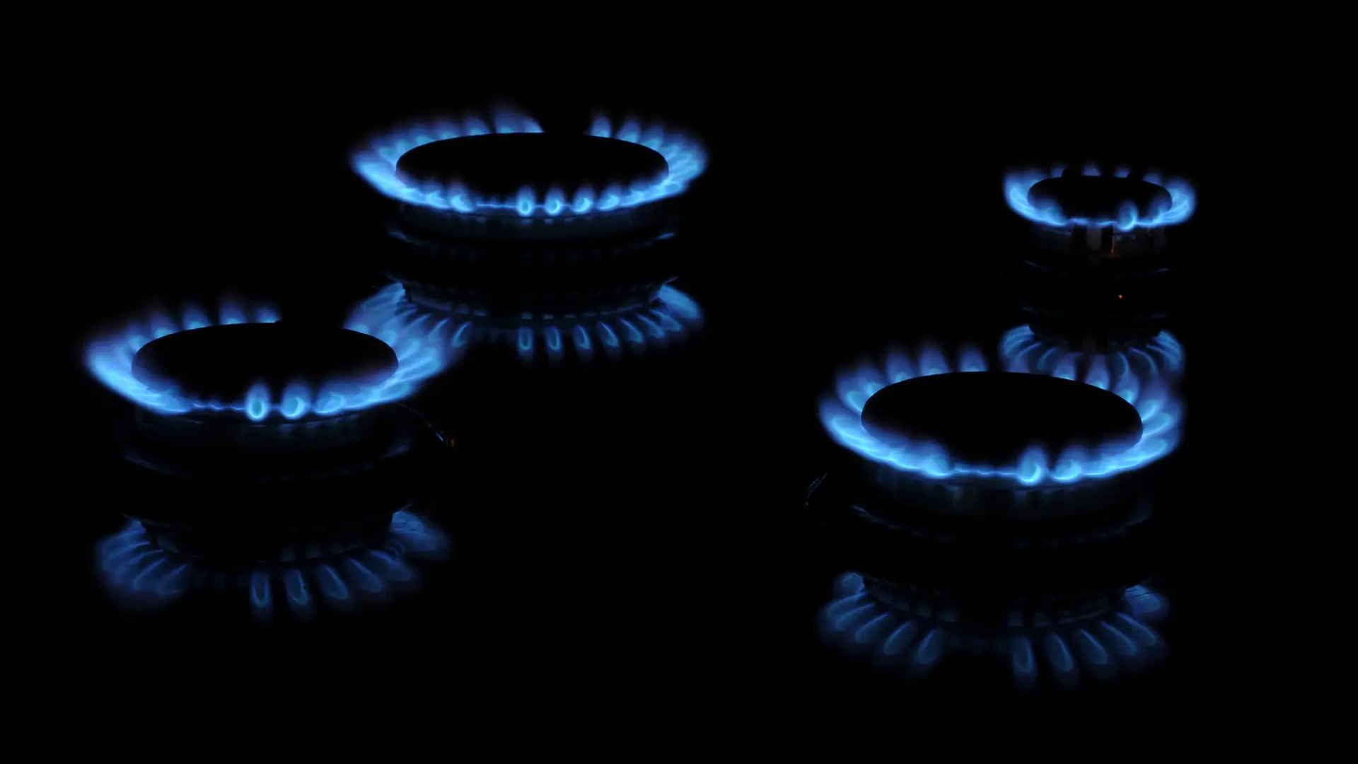 Induction vs Ceramic vs Gas Hobs: Which Is Best for Your Kitchen?