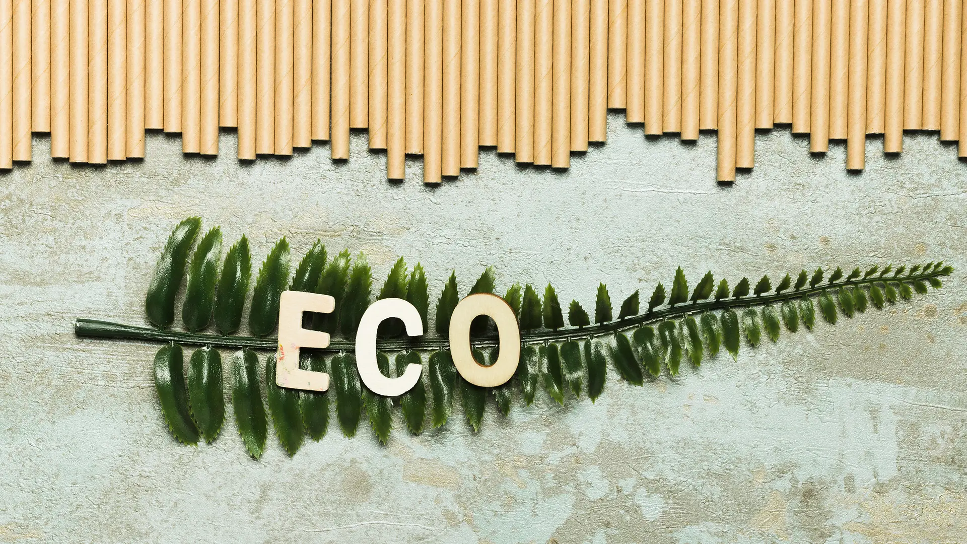 How to Recycle Old Kitchen Appliances Responsibly