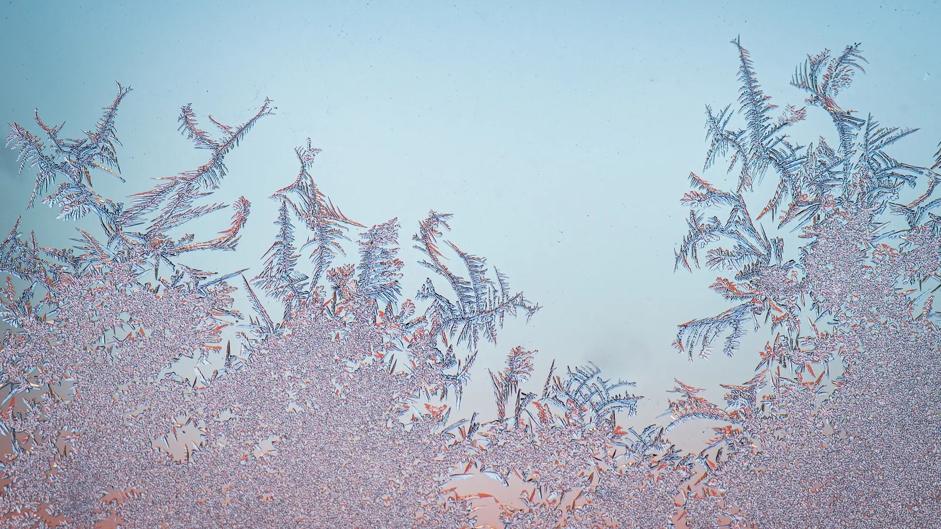 What Does “Frost-Free” Mean for a Freezer