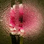 What’s the Ideal Humidity for Wine Storage?