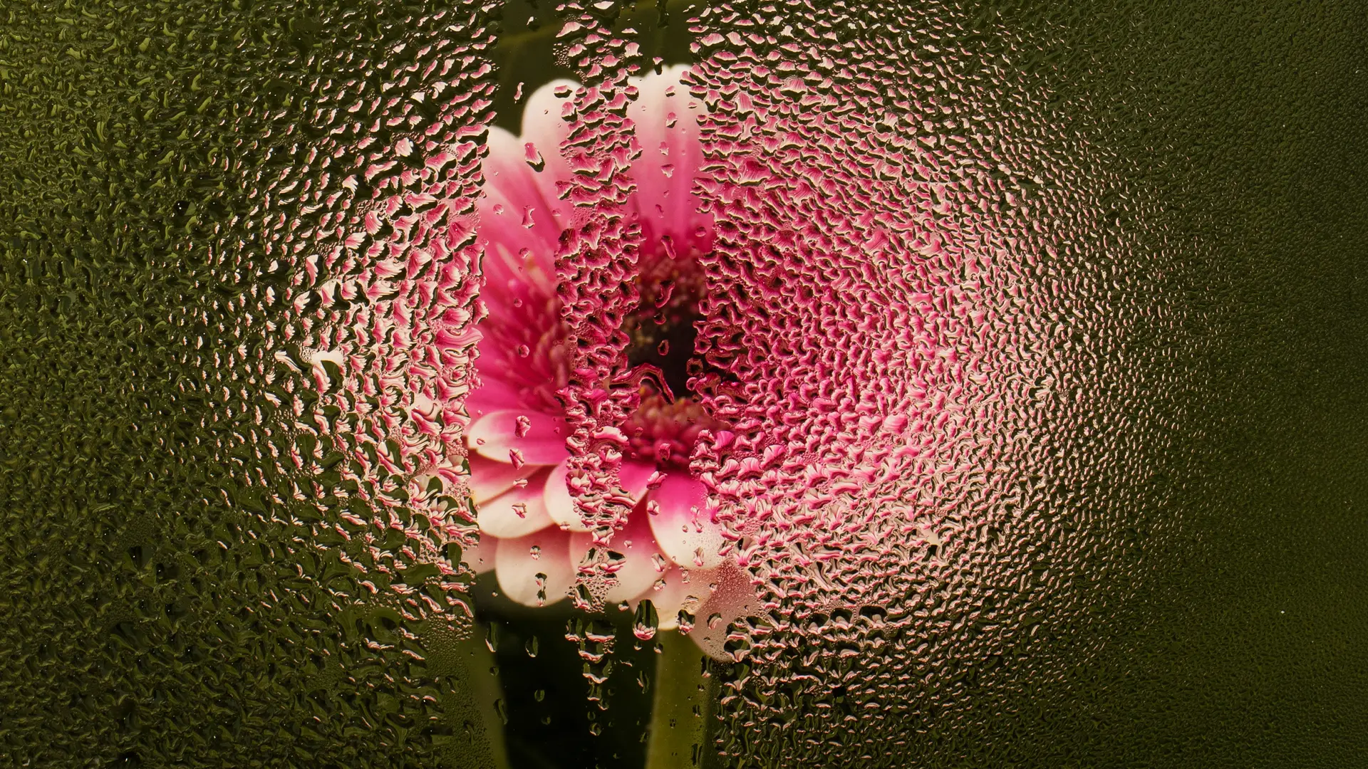 What’s the Ideal Humidity for Wine Storage?