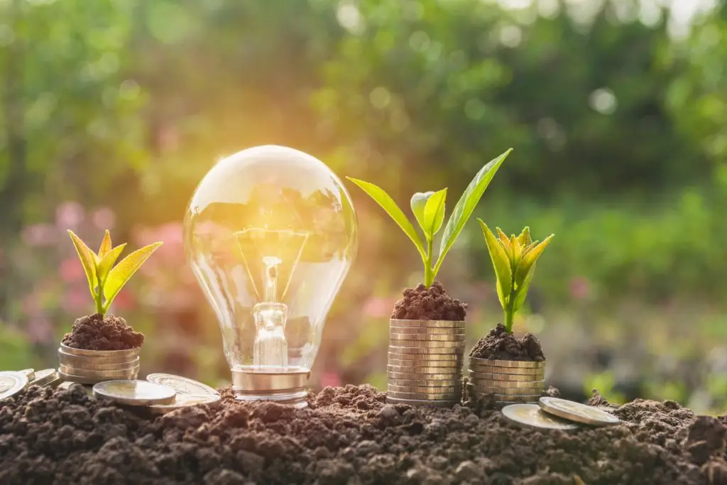 Energy saving light bulb and tree growing on stacks of coins on nature