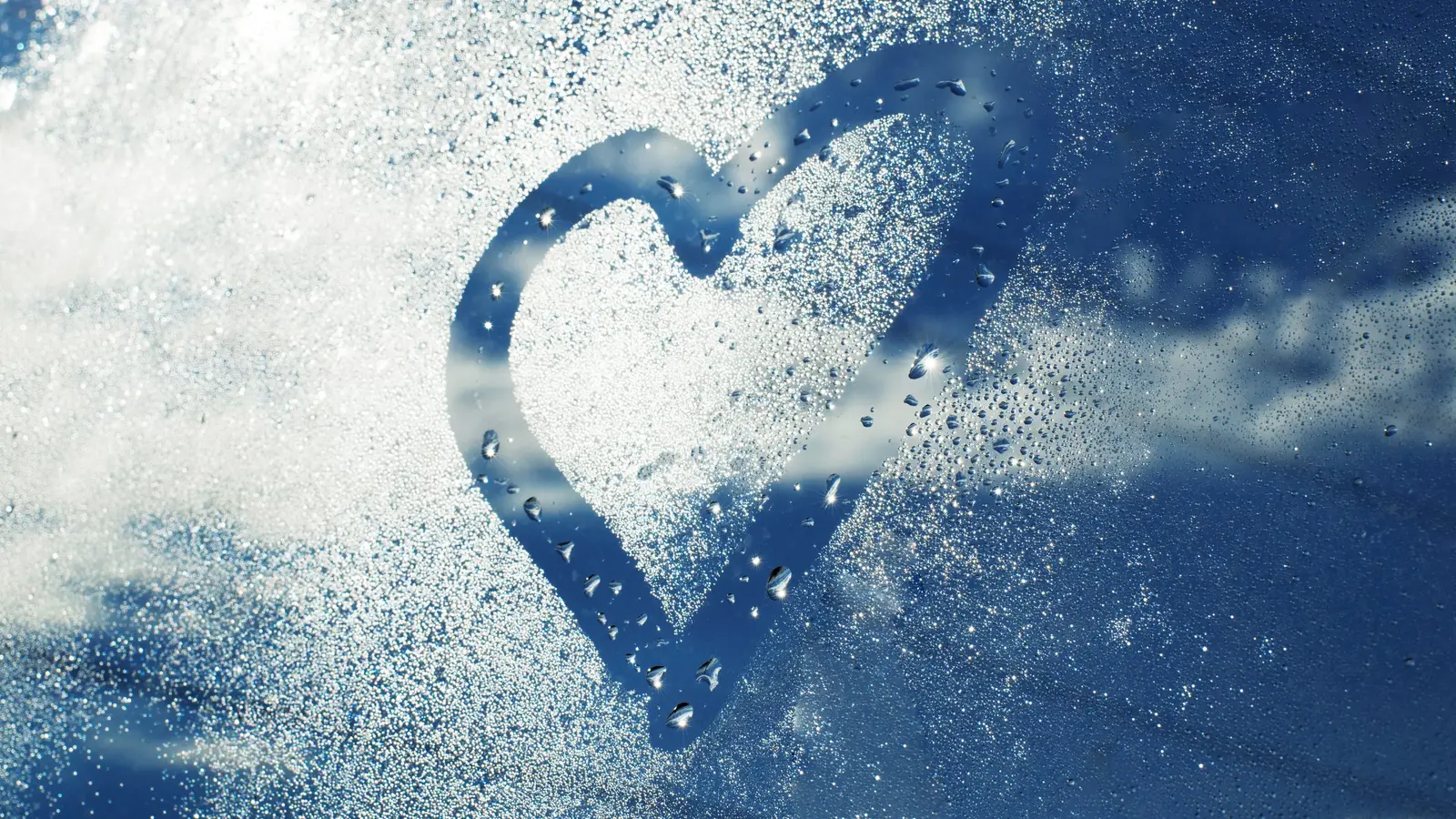 What Is a Steam Assist Oven