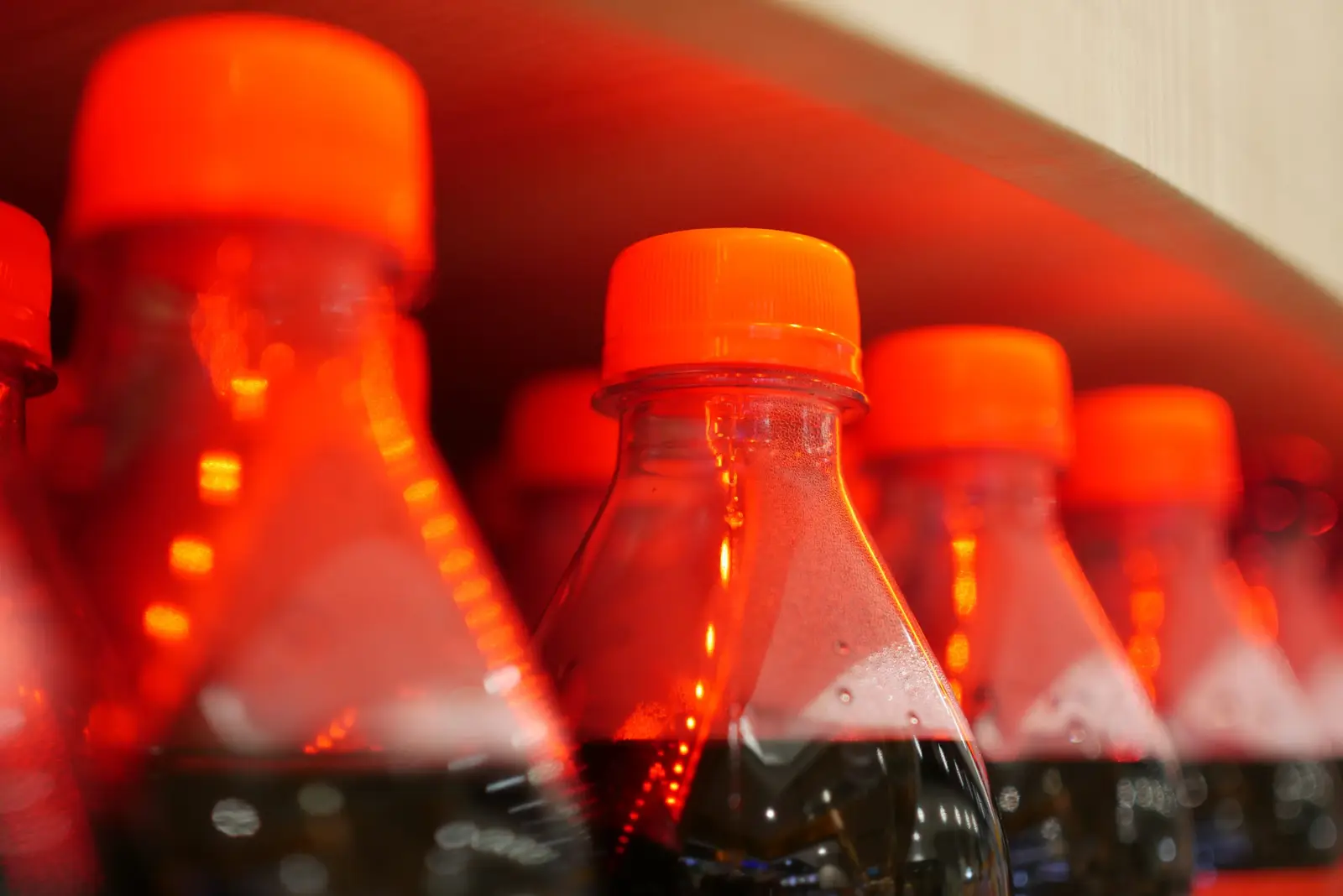 Rows of dark bottles illuminated from behind — a wine cooler's consistent temperature and low vibration suits a wide range of bottled drinks beyond wine