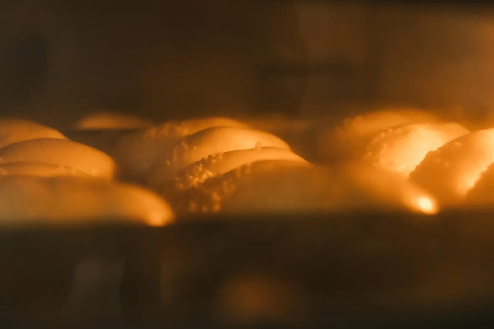 Fresh buns baking in an oven — the oven light allows you to check progress without opening the door and losing heat